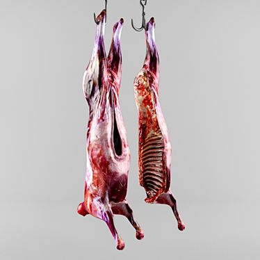 the carcass of an animal