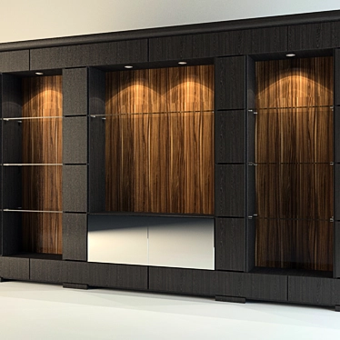 Versatile Wall Unit 3D model image 1 