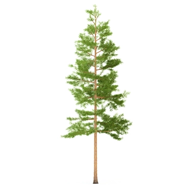 3m Pine Tree Sculpture 3D model image 1 