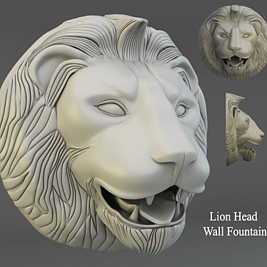 Lion Head Wall Fountain