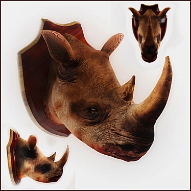 Rhinoceros