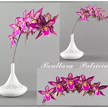 Beallara Orchid: Exquisite Beauty 3D model image 1 