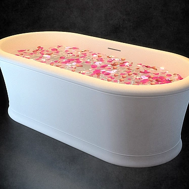 Elegant CELINE Bathtub by Devon&Devon 3D model image 1 