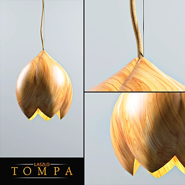 Innovative FlowerLamp by Laszlo Tompa 3D model image 1 