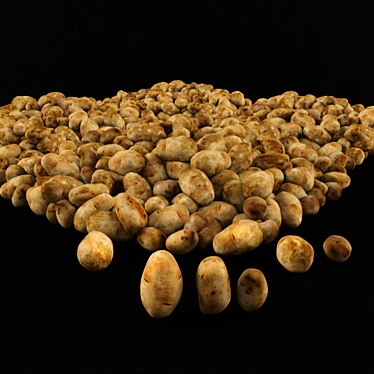 Golden Crunch Potato Crisp 3D model image 1 