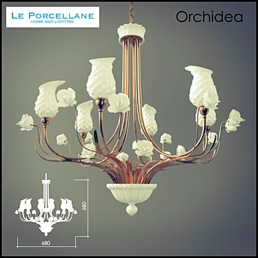 Le Porcellane / Orchidea