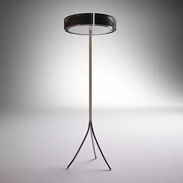 Modern Standing Floor Lamp 3D model image 1 