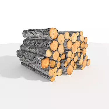 Cozy Fires: Quality Firewood 3D model image 1 