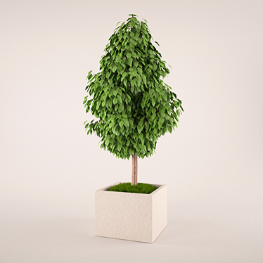 Portable Mini Tree in a Pot 3D model image 1 