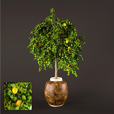 Refreshing Lemon Tree: Polys 502, Verts 305 3D model image 1 