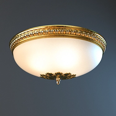 Elegant Ceiling Light Fixture 3D model image 1 