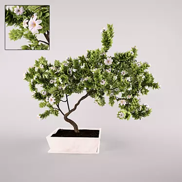 Translated description: Indoor plant, height: 1m, width: 1.5 x 1m.

Blooming Beauty: 1 3D model image 1 