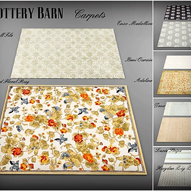 Pottery Barn Rug Collection: 10 Models + 35 Textures 3D model image 1 