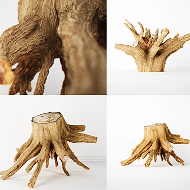 Detailed 8K Textured Stump 3D model image 1 