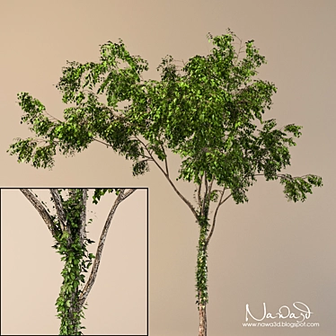 Ivy-Adorned Tree: A Perfect Blend of Elegance 3D model image 1 