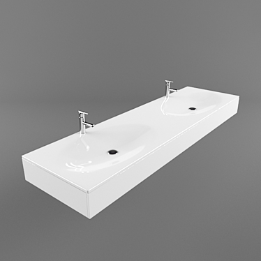 Dual Basin Sink 3D model image 1 