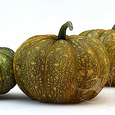  Trio of Pumpkins: Growth & Maturity 3D model image 1 