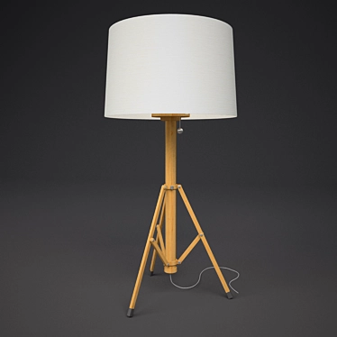 Mediterranean Style Tripod Lamp 3D model image 1 