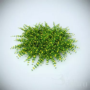 Meadow Loosestrife Bush: Real Scale 3D Model 3D model image 1 