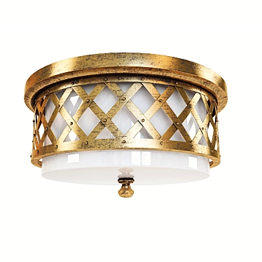 Elegant Ceiling Light Fixture 3D model image 1 