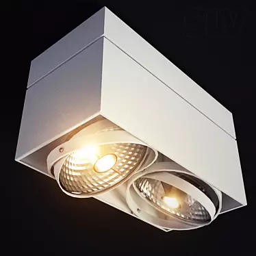 Modern Square Double Surface Mount Light 3D model image 1 