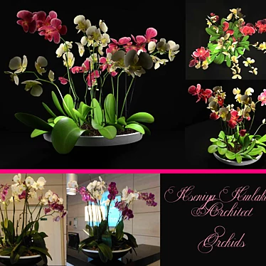 Orchid Bliss: Elegant Vase 3D model image 1 