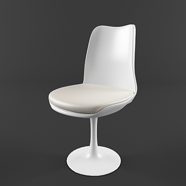 Elegant Plastic Chair with Leather Cushion 3D model image 1 