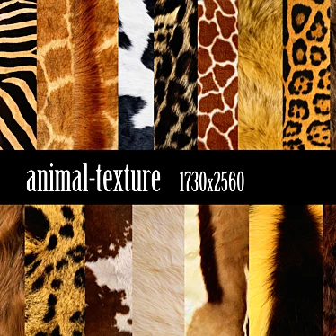 Wild Skin Collection: 54 High-Resolution Animal Textures 3D model image 1 