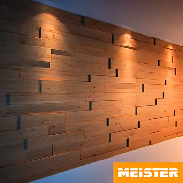 Meister 3D Panel Collection: Versatile, Stylish, Waterproof 3D model image 1 