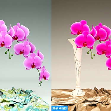 Elegant Orchid Blooms 3D model image 1 