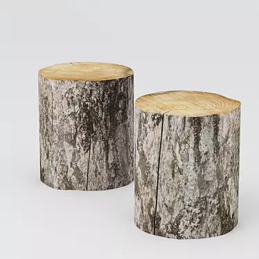 Sustainable Tree Stump Coffee 3D model image 1 