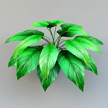 Evergreen Garden Bush 3D model image 1 