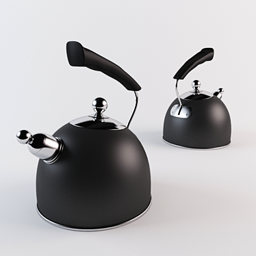 Rapid Boil Stovetop Kettle 3D model image 1 