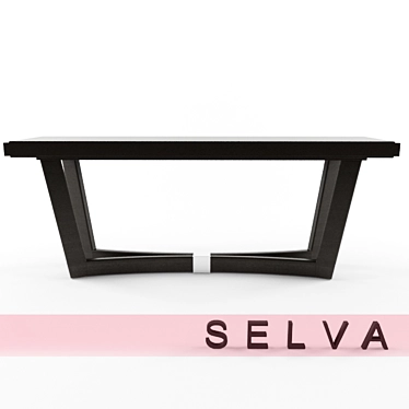 Modern Selva Console with Chrome Accents 3D model image 1 