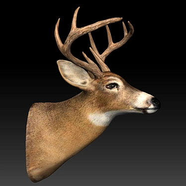 Elegant Deer Head Décor 3D model image 1 