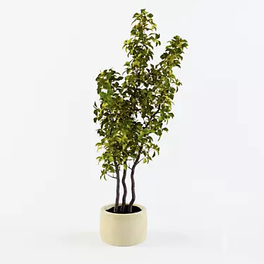 Decorative House Plant  1050mm Height 3D model image 1 