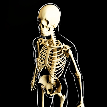 Glowing Skeleton Model 3D model image 1 