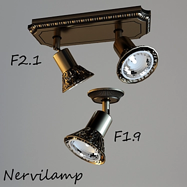 Elegant Illuminate: NERVILAMP Wall & Ceiling 3D model image 1 