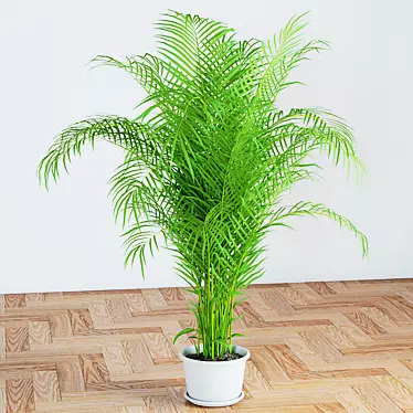 Tropical Palm Tree 1150mm: High Quality 3D Model 3D model image 1 