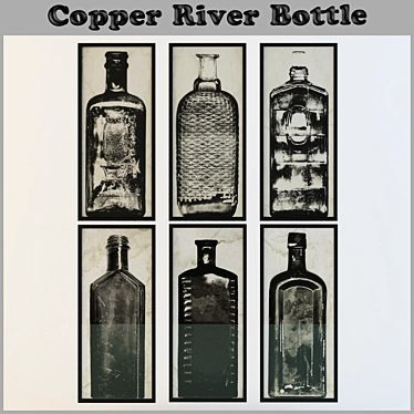 Copper River Expedition Bottle 3D model image 1 