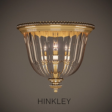 HINKLEY 3612BB