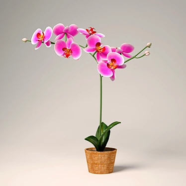 Vibrant Purple Orchid in Pot 3D model image 1 