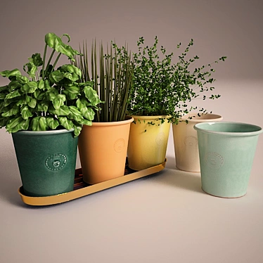 Elegant Brass Herb Pots 3D model image 1 