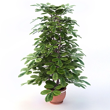 Title: 3D Indoor Plant Model 3D model image 1 