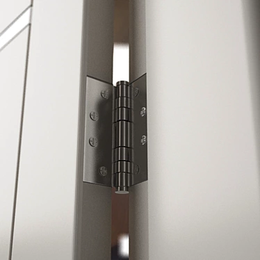 Sleek White Pivot Door 3D model image 1 