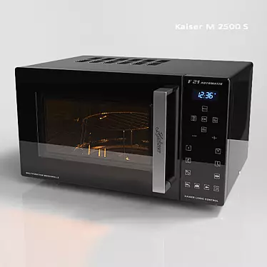 Kaiser 2500S Microwave 3D model image 1 