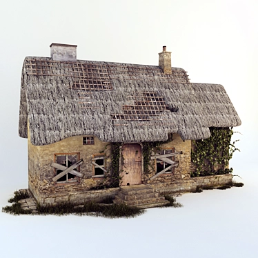 Vintage Charm: Authentic Old House 3D model image 1 
