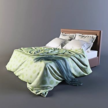 Cassandra Bed with Storage Compartment 3D model image 1 