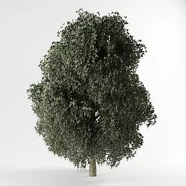 3D Tree Model with Textures 3D model image 1 