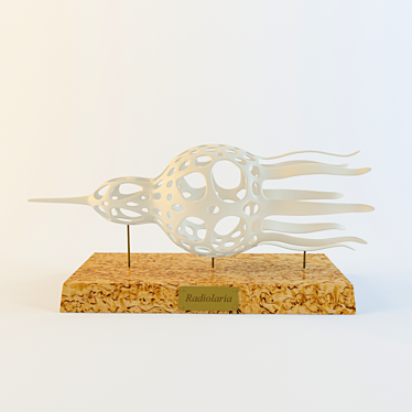 Radiolarians: Creative Decor for Artistic Minds 3D model image 1 